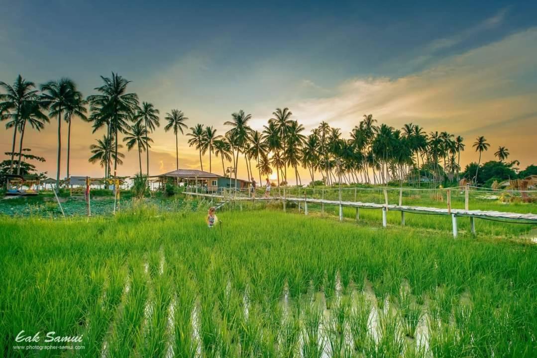 Отель I - Talay Taling Ngam Samui - เขา ป่า นา เล ตลิ่งงาม สมุย Экстерьер фото